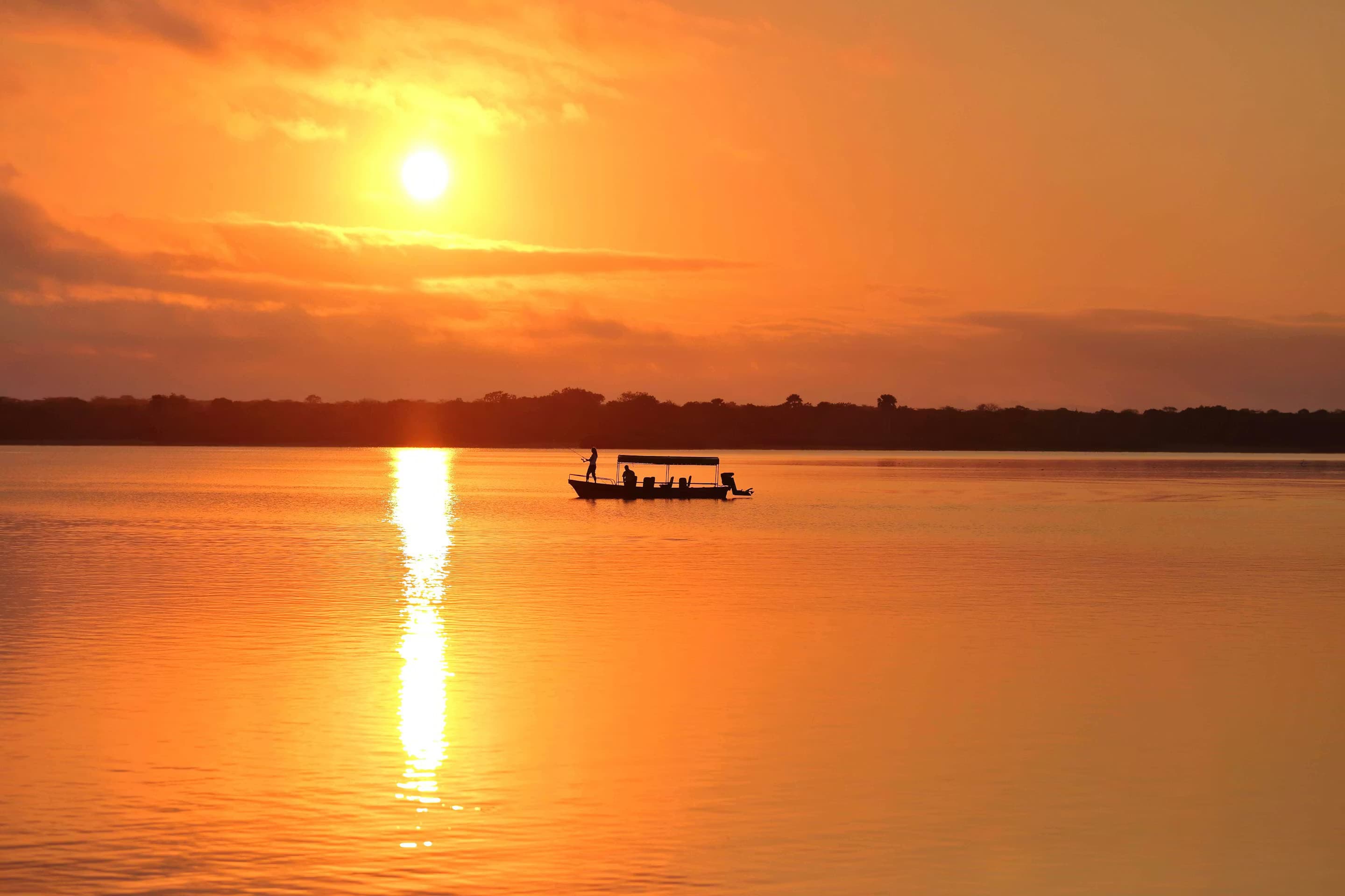 Nyerere National Park (Selous)