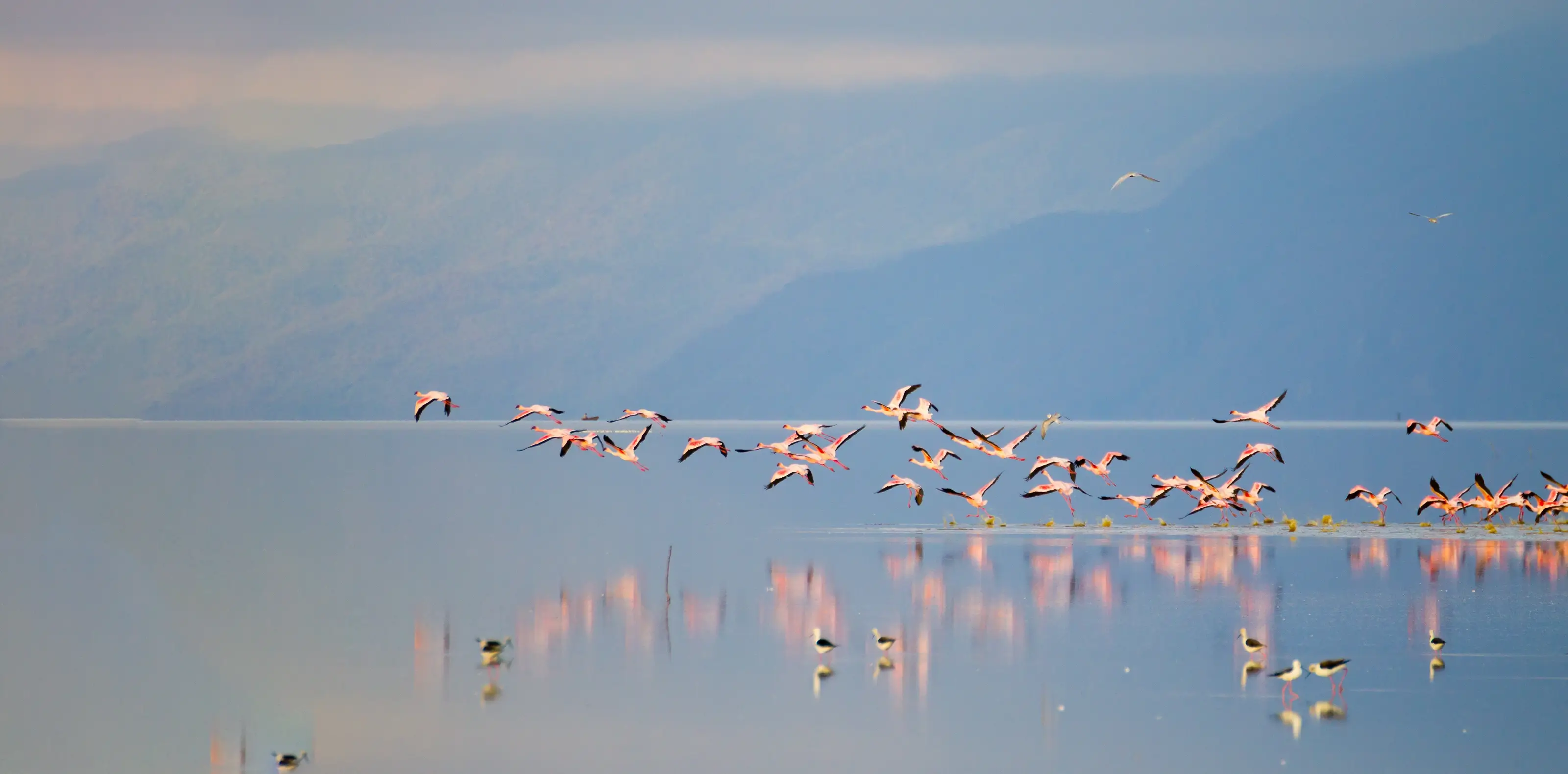 Lake Manyara National Park
